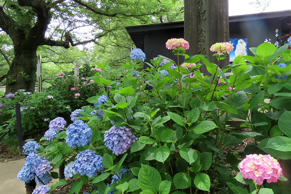 峠の茶屋の様子