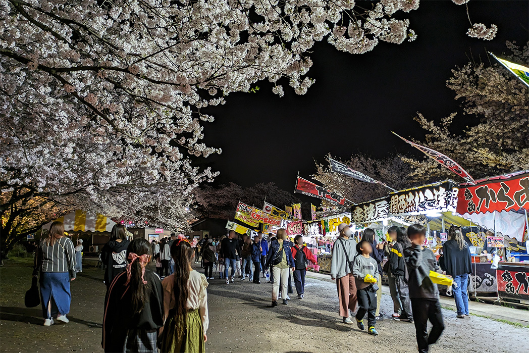 4月8日の夜桜
